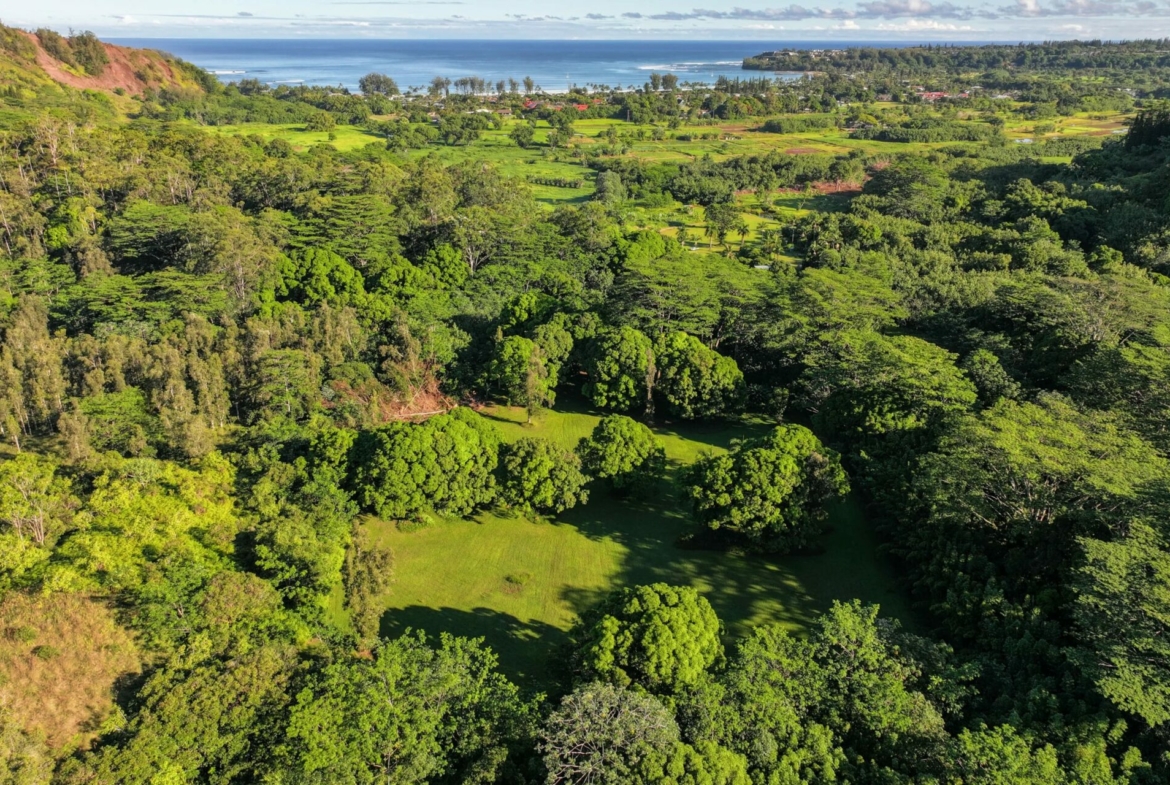 spectacular-hanalei-kauai-property