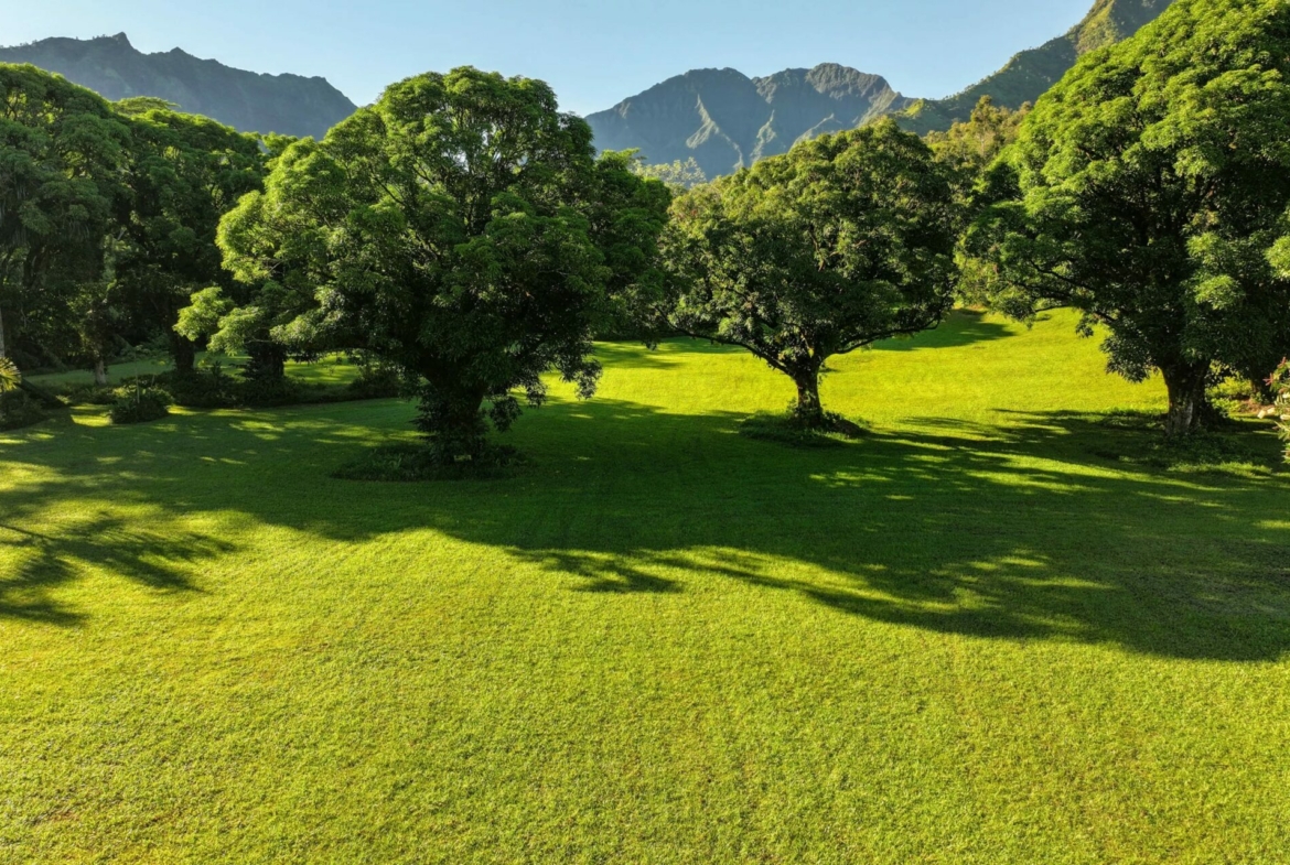 spectacular-hanalei-kauai-property