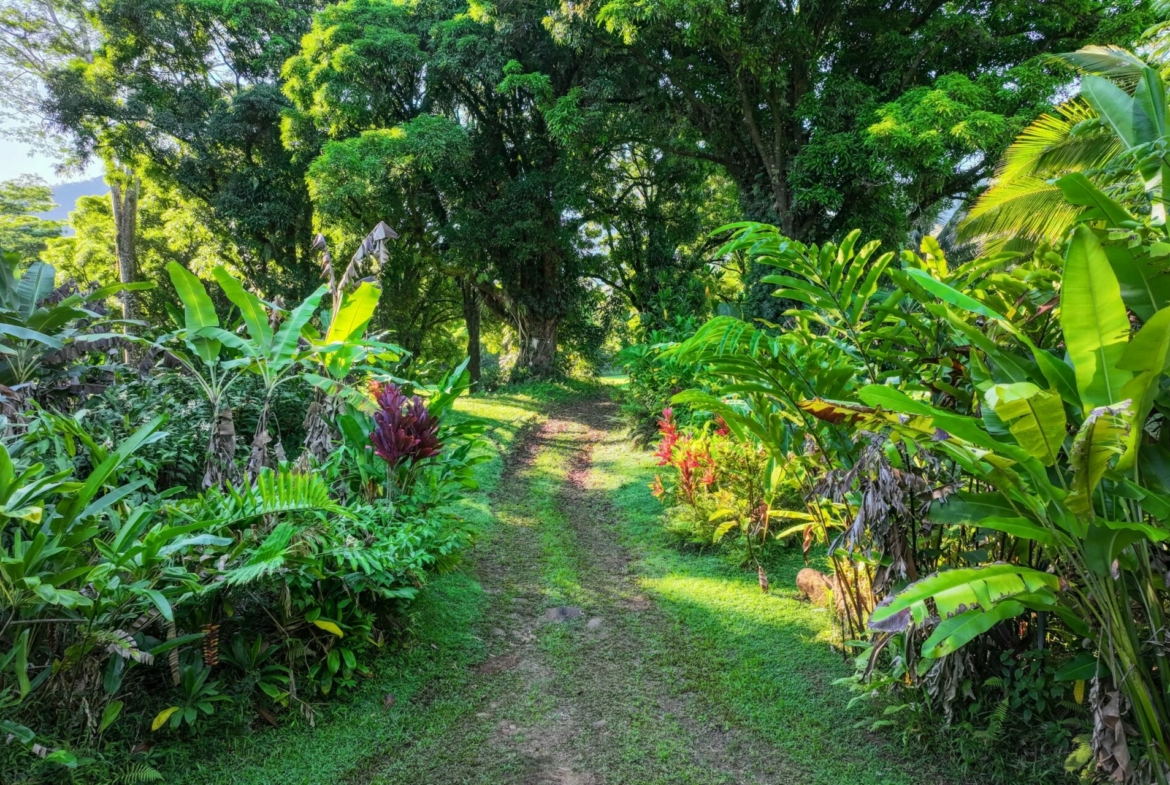 spectacular-hanalei-kauai-property