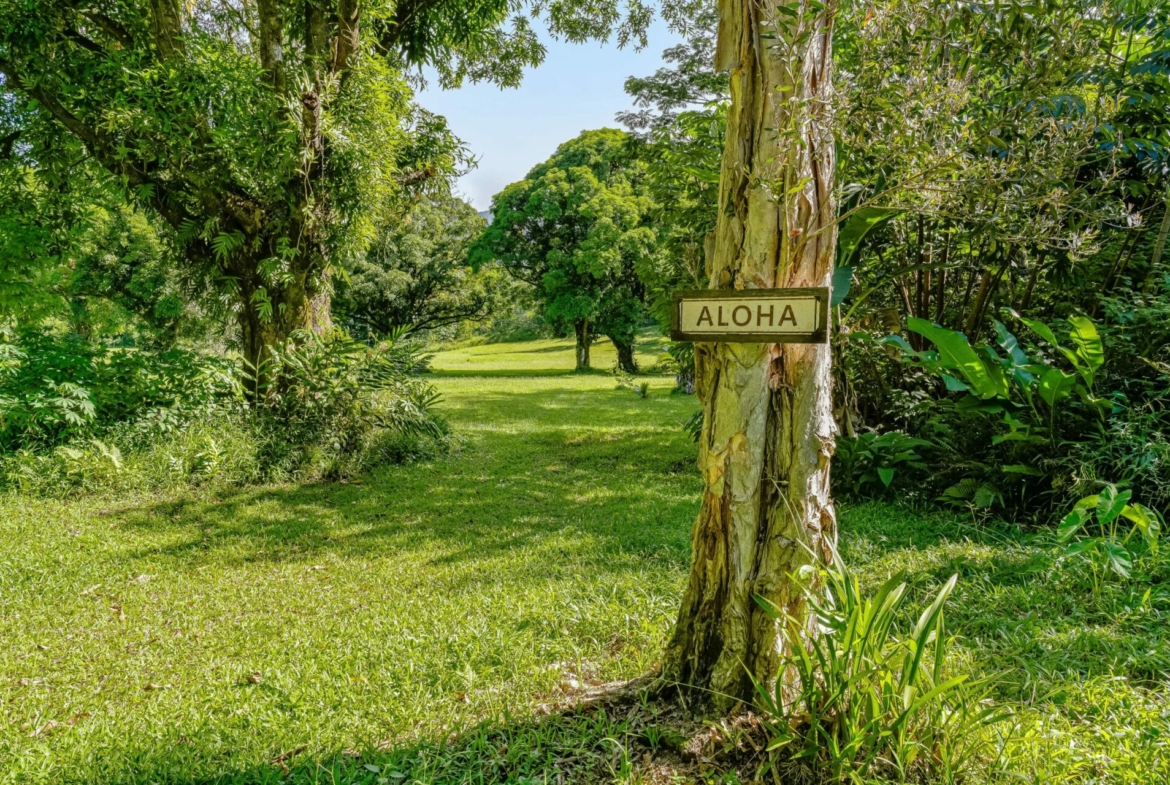 spectacular-hanalei-kauai-property