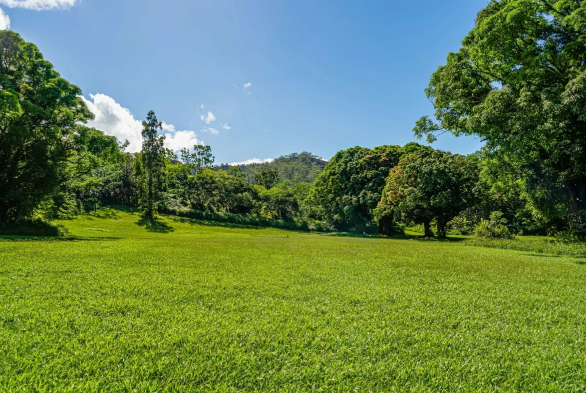 spectacular-hanalei-kauai-property