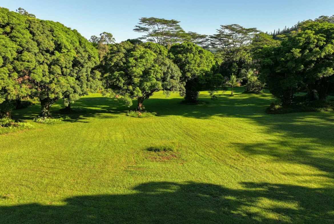 spectacular-hanalei-kauai-property